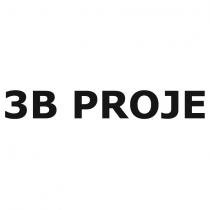 3b proje