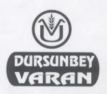 dursunbey varan