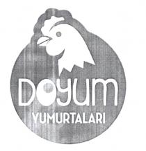 doyum yumurtaları