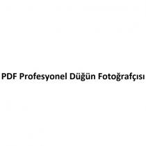 pdf profesyonel düğün fotoğrafçısı