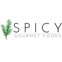 spicy gourmet foods