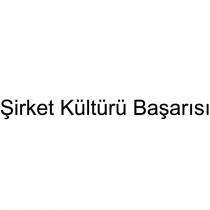 şirket kültürü başarısı