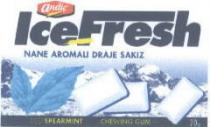 andiç icefresh nane aromalı draje sakız deepspearmint chewing gum