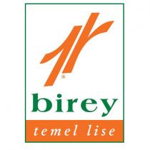 1r birey temel lise