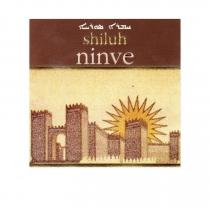 shiluh ninve