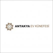 antakya ev künefesi