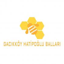 gacikköy hatipoğlu ballari