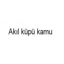 akıl küpü kamu