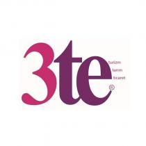 3te