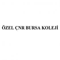 özel çnr bursa koleji