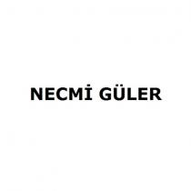 necmi güler