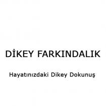 dikey farkındalık hayatınızdaki dikey dokunuş