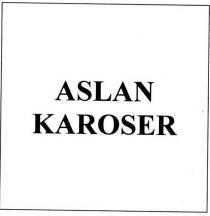 aslan karoser