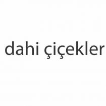 dahi çiçekler