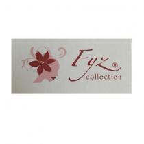 fyz collection
