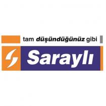 tam düşündüğünüz gibi saraylı logo