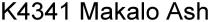 k4341 makalo ash