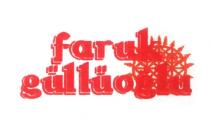faruk güllüoğlu
