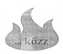 mr.közz chicken