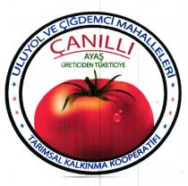 çanıllı ayaş üreticiden tüketiciye uluyol ve çiğdemci mahalleleri tarımsal kalkınma kooperatifi