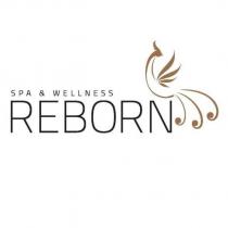 reborn spa & wellness