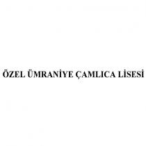 özel ümraniye çamlıca lisesi
