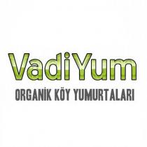 vadiyum organik köy yumurtaları