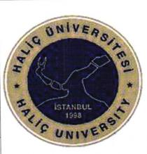 haliç üniversitesi istanbul 1998
