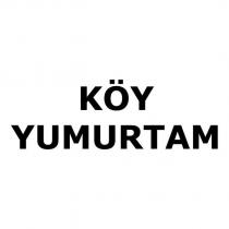 köy yumurtam