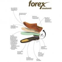 forex anatomic
