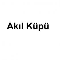 akıl küpü