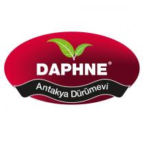 daphne antakya dürümevi