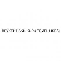 beykent akıl küpü temel lisesi