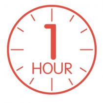 1 hour