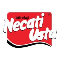 börekçi necati usta