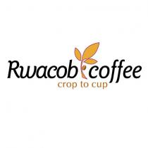 rwacob coffee crop to cup