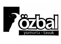 özbal yumurta-tavuk