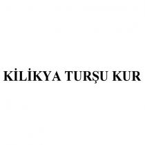 kilikya turşu kur