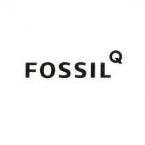 fossil q