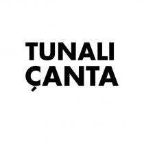 tunalı çanta