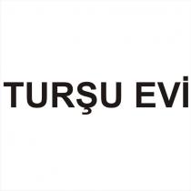 turşu evi
