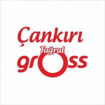 çankırı tuğrul gross