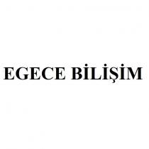 egece bilişim
