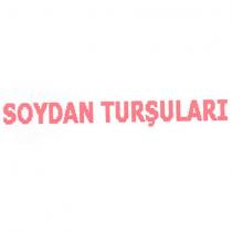 soydan turşuları