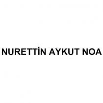 nurettin aykut noa