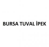 bursa tuval ipek