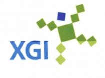 xgi