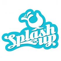 splash up