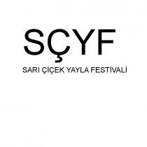 sçyf sarı çiçek yayla festivali