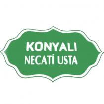 konyalı necati usta